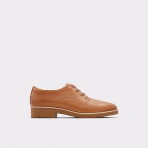 Dámské Baleríny Aldo Cerquedaflex Oxford shoe Hnědé | 83204BXDP