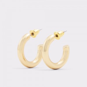 Dámské Fine Jewelry Aldo Jenniaa Hoop earrings Zlaté | 07549GNED