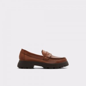 Dámské Loafers Aldo Biglect Loafer - Lug sole Hnědé | 05394ZHLV