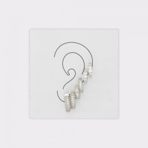 Dámské Náušnice Aldo Babendra earrings Stříbrné | 21634FTSG