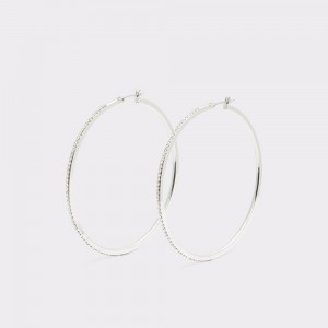 Dámské Náušnice Aldo Eryri Hoop earrings Stříbrné | 05316FZAS