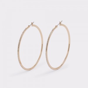 Dámské Náušnice Aldo Eryri Hoop earrings Zlaté | 91326DLVH