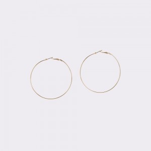 Dámské Náušnice Aldo Leota Hoop earrings Zlaté | 36409LQWP