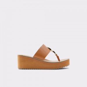 Dámské Sandály Aldo Toea Thong sandal - Wedge heel Hnědé | 79285SGJY