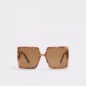 Dámské Sluneční Brýle Aldo Ybaledia Square sunglasses Hnědé | 05671HGUI