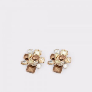 Dámské Šperky Aldo Malamocco Statement earrings Hnědé | 39684VGLZ