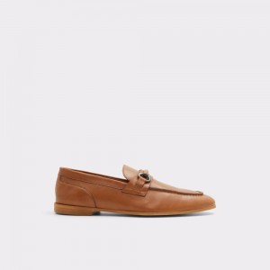 Pánské Mokasíny Aldo Violettes Loafer Hnědé | 31685EAZT