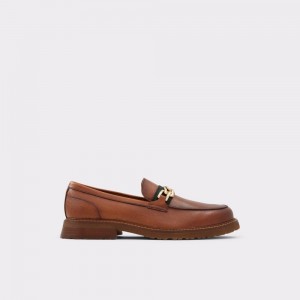 Pánské Mokasíny Aldo Weaver Loafer Hnědé | 12506RQXZ