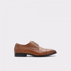 Pánské Oxfordky Aldo Rothko Oxford shoe Hnědé | 95601KNOE