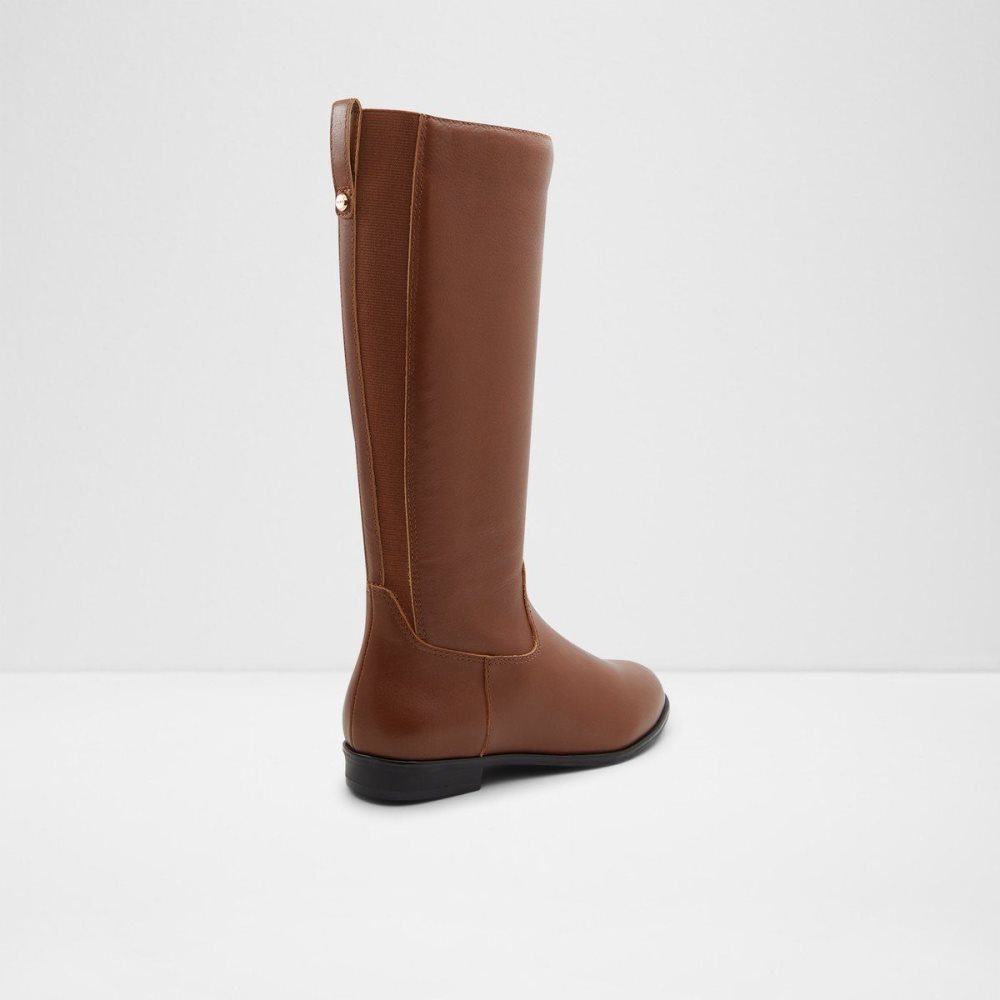 Dámské Boty Aldo Riraven Riding boot - Block heel Hnědé | 51907RWMF