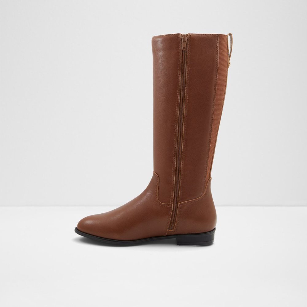 Dámské Boty Aldo Riraven Riding boot - Block heel Hnědé | 51907RWMF