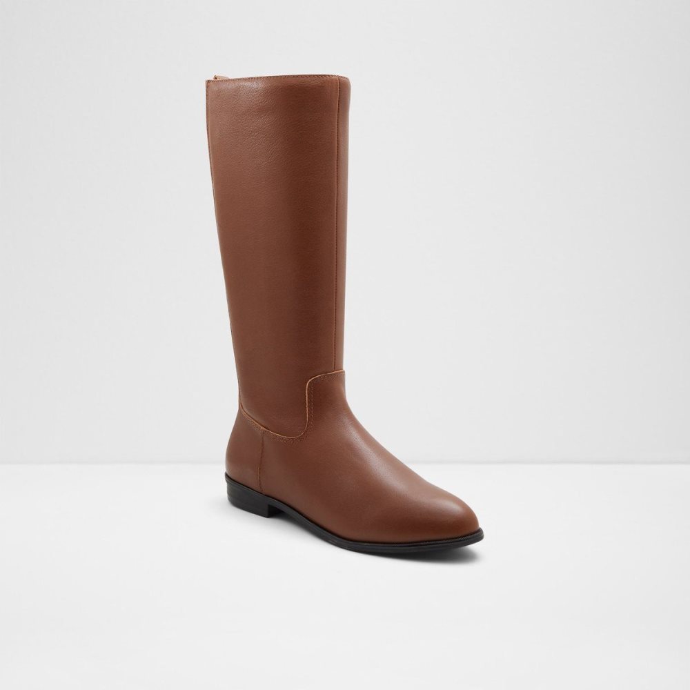 Dámské Boty Aldo Riraven Riding boot - Block heel Hnědé | 51907RWMF