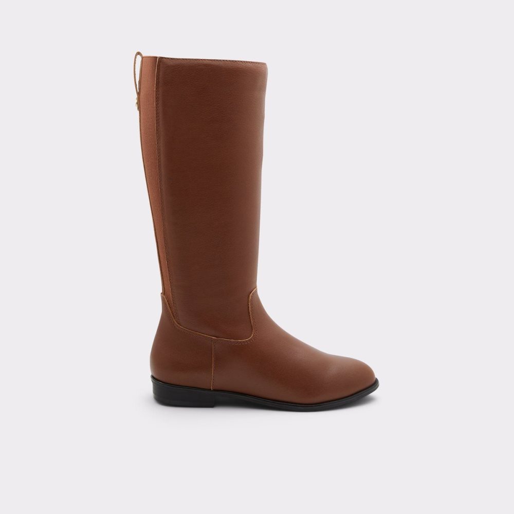 Dámské Boty Aldo Riraven Riding boot - Block heel Hnědé | 51907RWMF