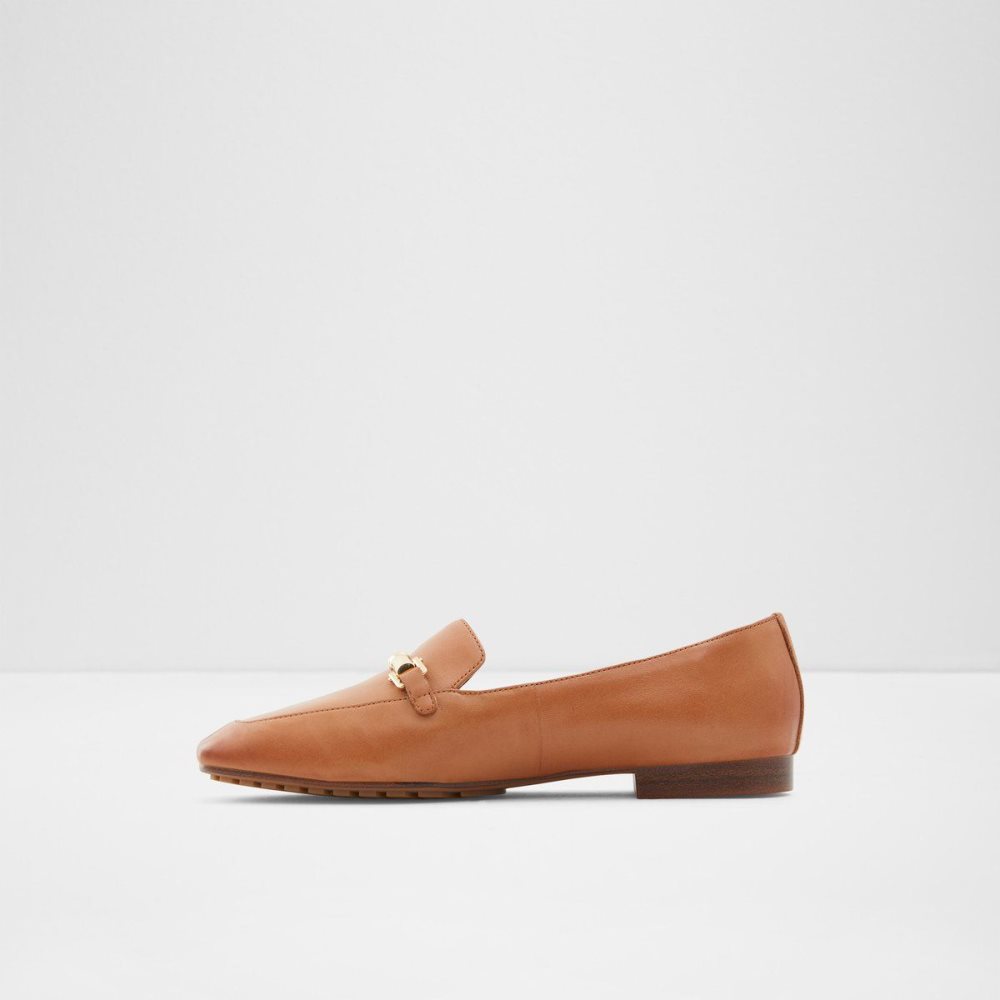 Dámské Loafers Aldo Boska Loafer Hnědé | 63078XZSW