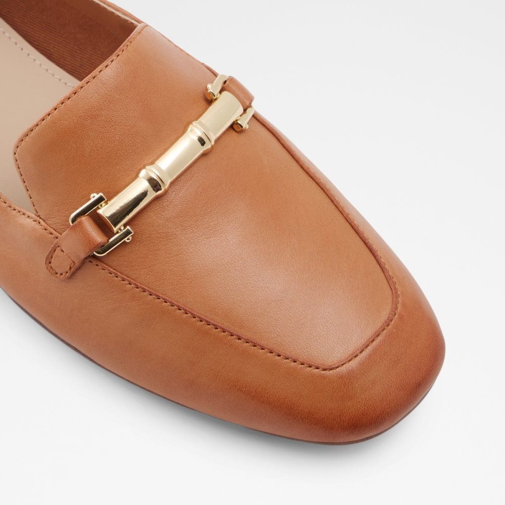 Dámské Loafers Aldo Boska Loafer Hnědé | 63078XZSW