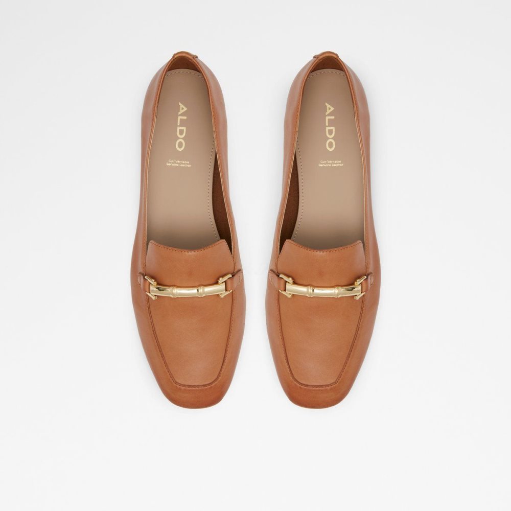 Dámské Loafers Aldo Boska Loafer Hnědé | 63078XZSW