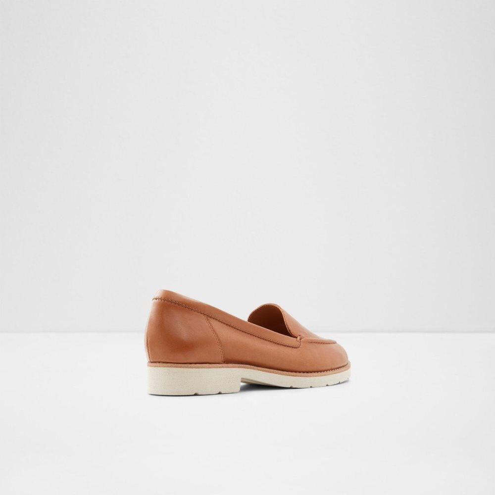 Dámské Loafers Aldo Rheildanflex Loafer Hnědé | 21635QEKL