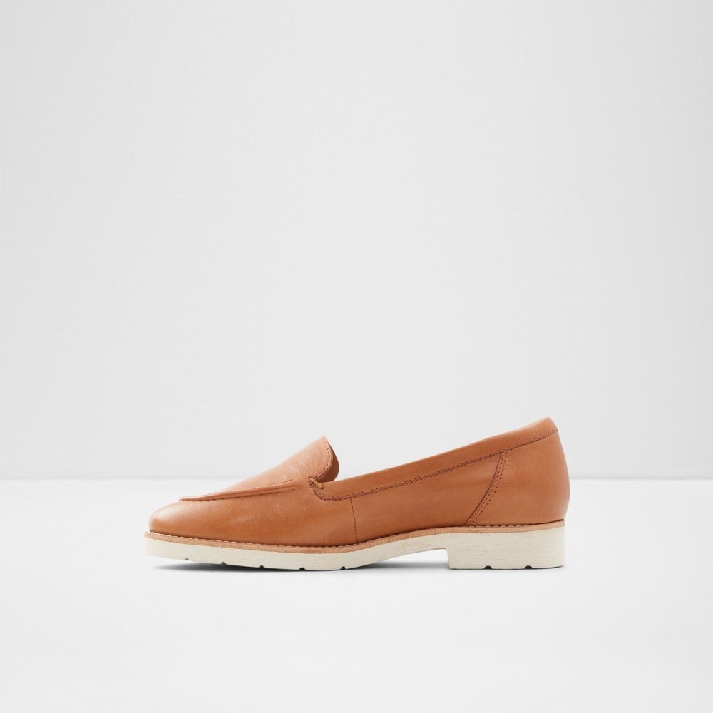 Dámské Loafers Aldo Rheildanflex Loafer Hnědé | 21635QEKL