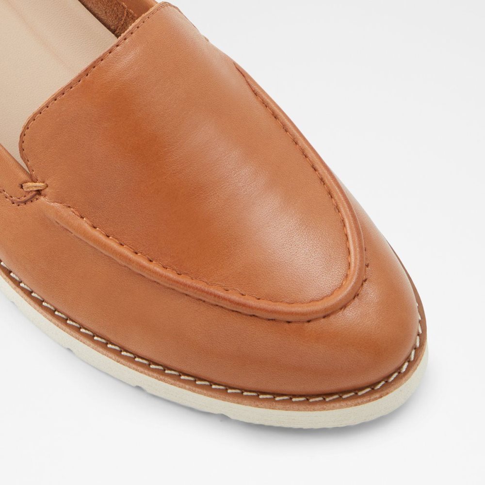 Dámské Loafers Aldo Rheildanflex Loafer Hnědé | 21635QEKL