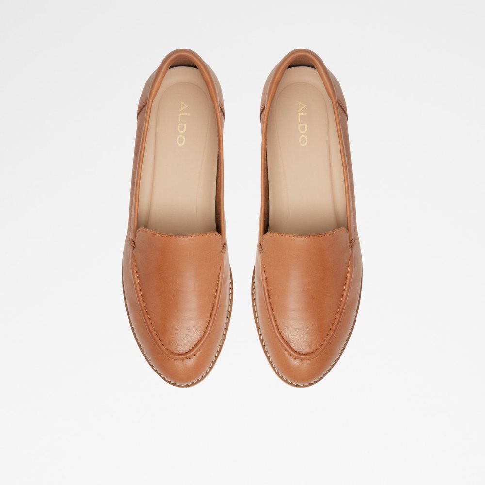 Dámské Loafers Aldo Rheildanflex Loafer Hnědé | 21635QEKL