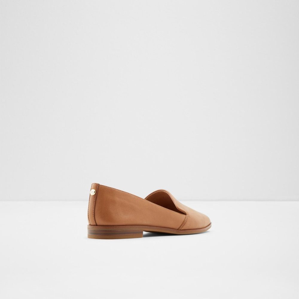 Dámské Loafers Aldo Veadith Slip-on Hnědé | 26310KXUP