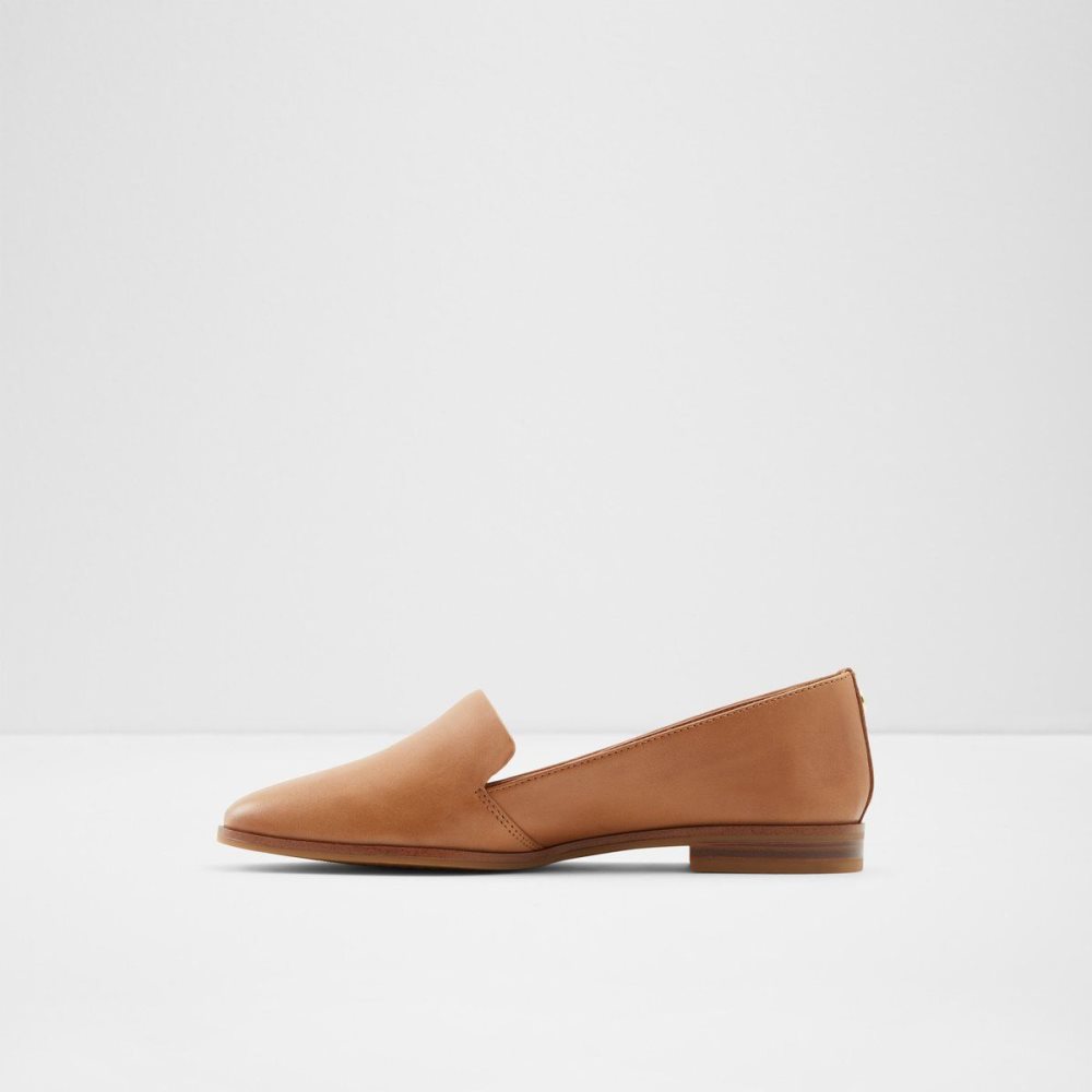 Dámské Loafers Aldo Veadith Slip-on Hnědé | 26310KXUP