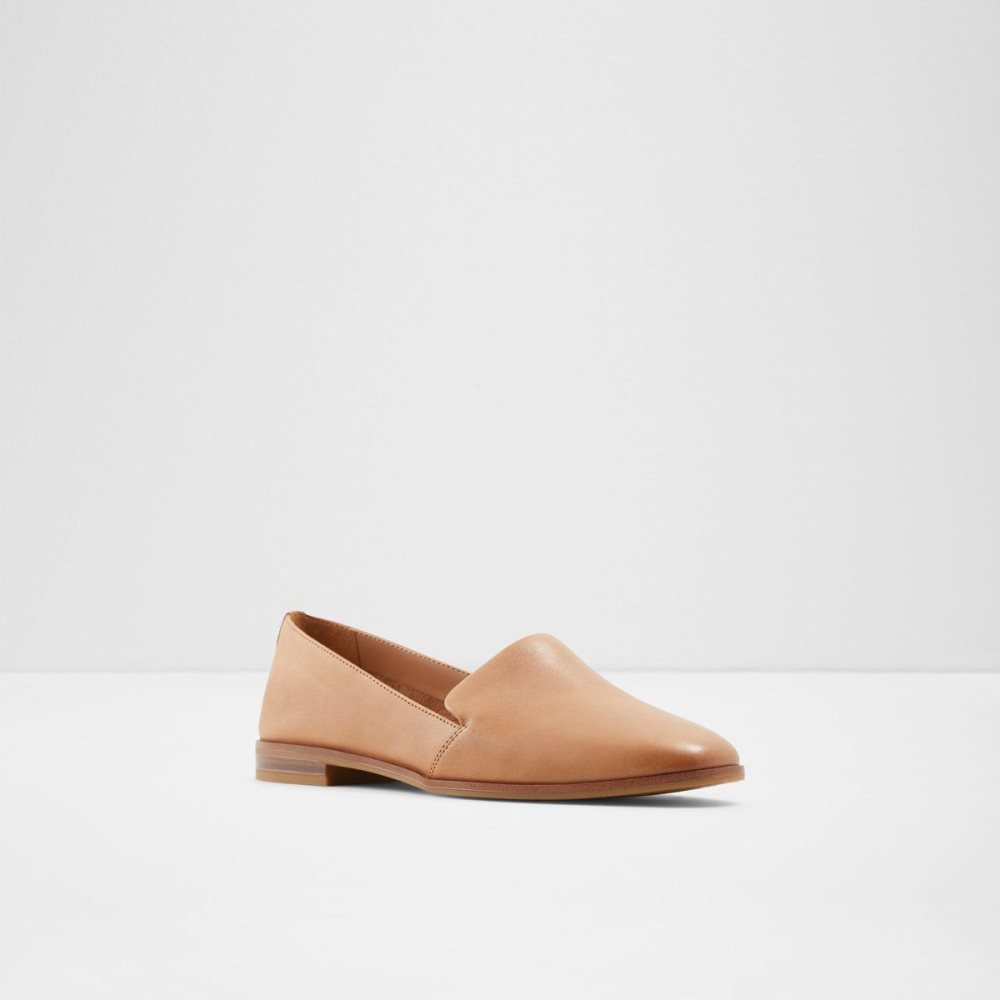 Dámské Loafers Aldo Veadith Slip-on Hnědé | 26310KXUP