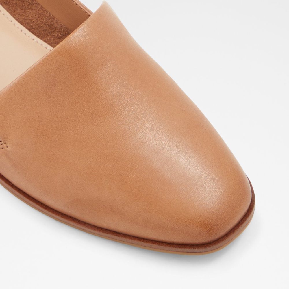 Dámské Loafers Aldo Veadith Slip-on Hnědé | 26310KXUP