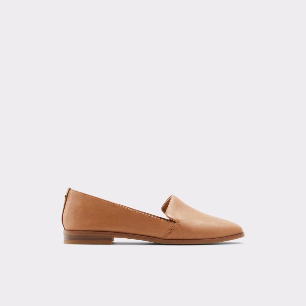 Dámské Loafers Aldo Veadith Slip-on Hnědé | 26310KXUP