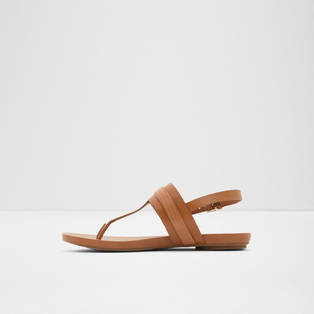 Dámské Sandály Aldo Gannamaryn T-strap sandal Hnědé | 02749GJVB