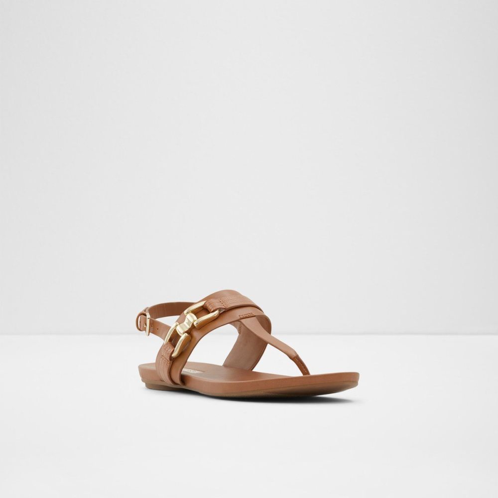 Dámské Sandály Aldo Gannamaryn T-strap sandal Hnědé | 02749GJVB