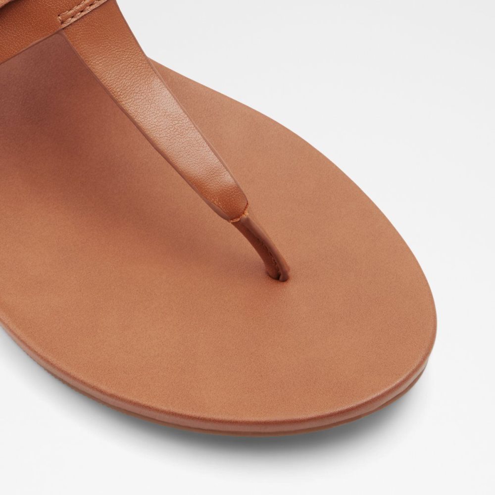 Dámské Sandály Aldo Gannamaryn T-strap sandal Hnědé | 02749GJVB