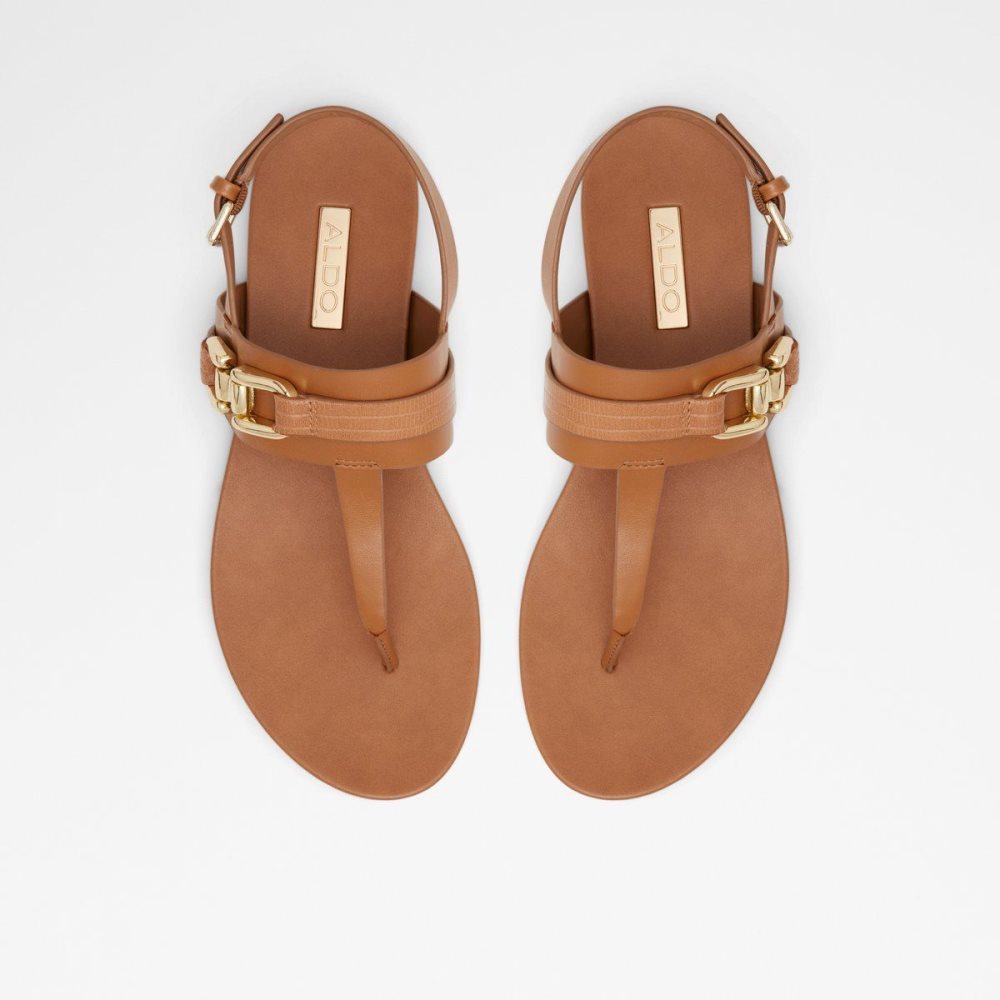 Dámské Sandály Aldo Gannamaryn T-strap sandal Hnědé | 02749GJVB