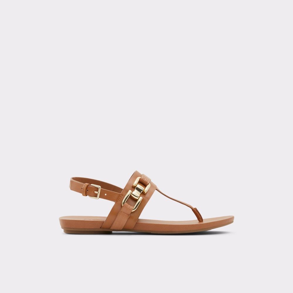 Dámské Sandály Aldo Gannamaryn T-strap sandal Hnědé | 02749GJVB