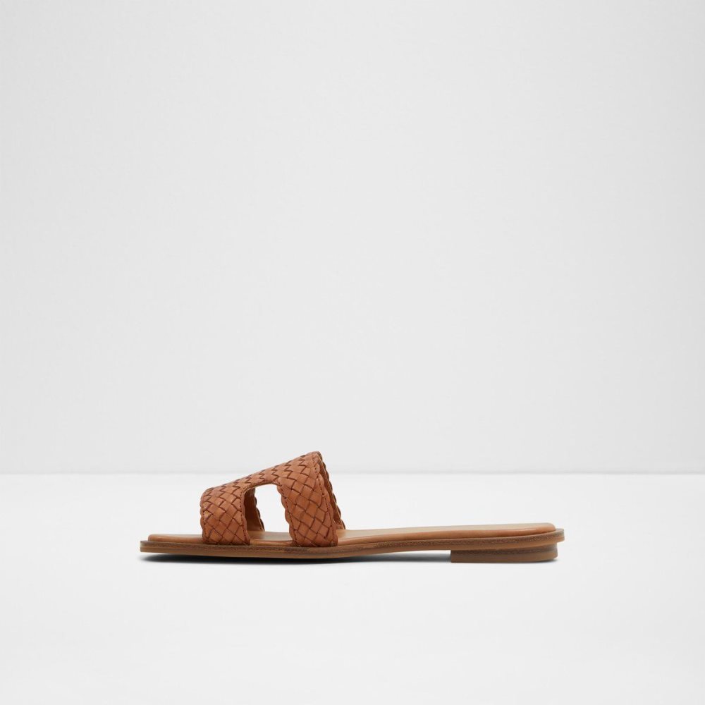 Dámské Sandály Aldo Irmaos Slide sandal Hnědé | 69418ZFVE