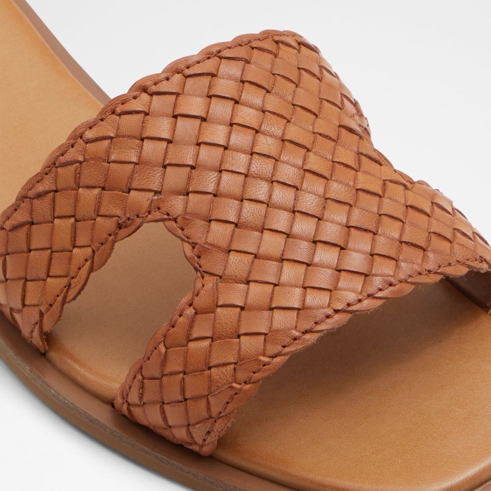 Dámské Sandály Aldo Irmaos Slide sandal Hnědé | 69418ZFVE