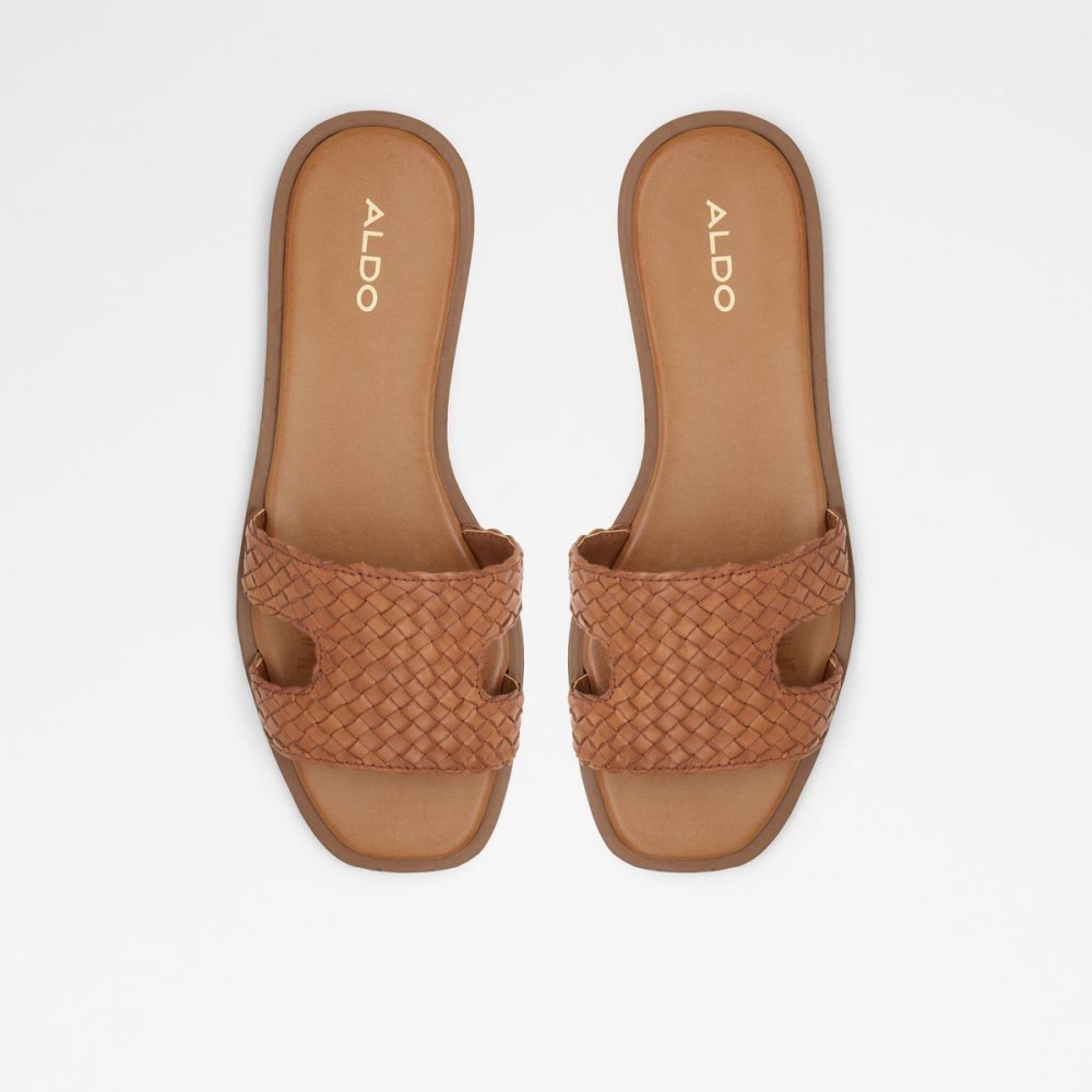 Dámské Sandály Aldo Irmaos Slide sandal Hnědé | 69418ZFVE