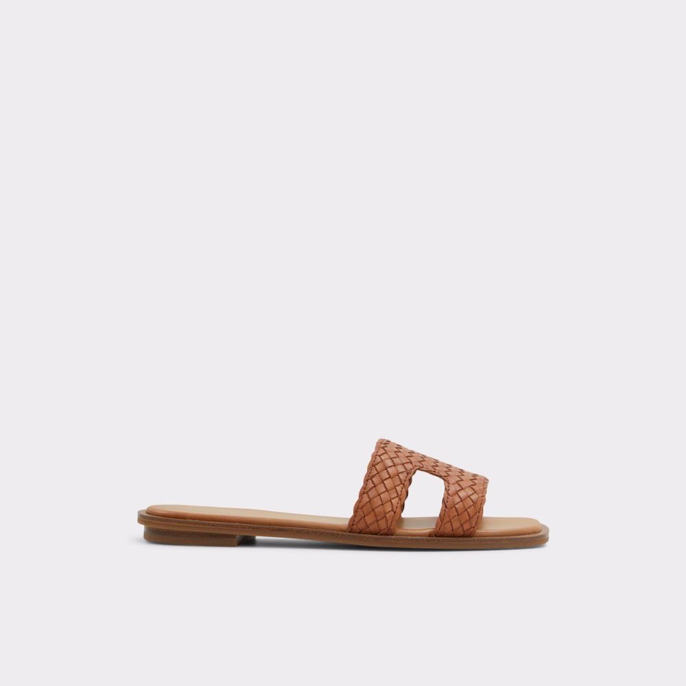 Dámské Sandály Aldo Irmaos Slide sandal Hnědé | 69418ZFVE