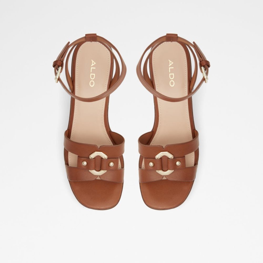 Dámské Sandály Aldo Onan Wedge sandal - Wedge heel Hnědé | 34917PXTI