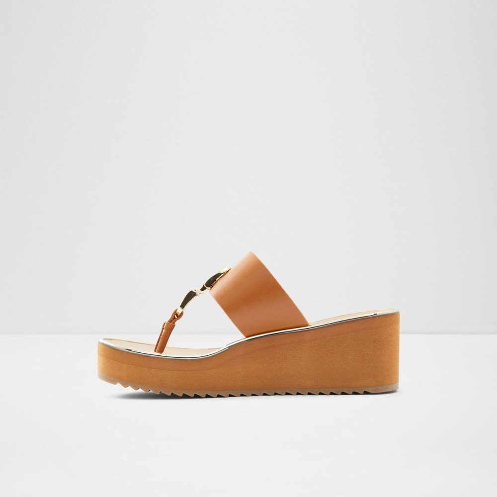 Dámské Sandály Aldo Toea Thong sandal - Wedge heel Hnědé | 79285SGJY