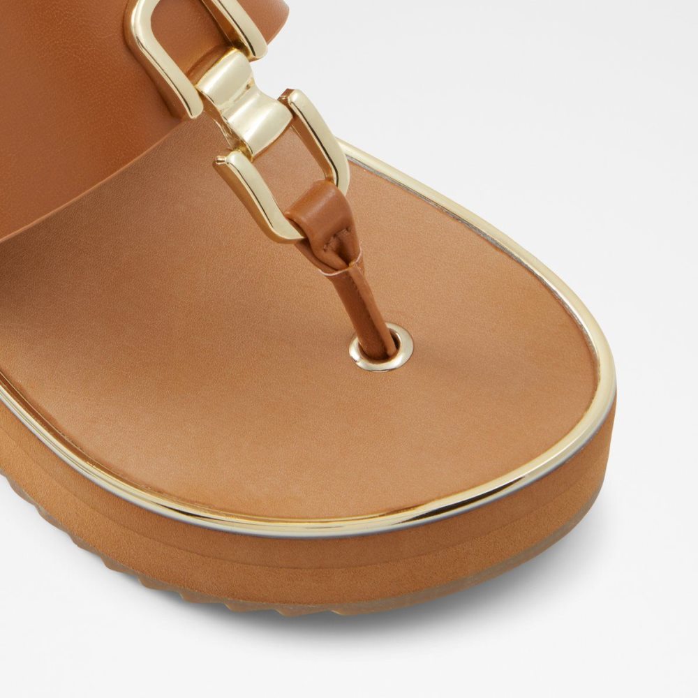 Dámské Sandály Aldo Toea Thong sandal - Wedge heel Hnědé | 79285SGJY