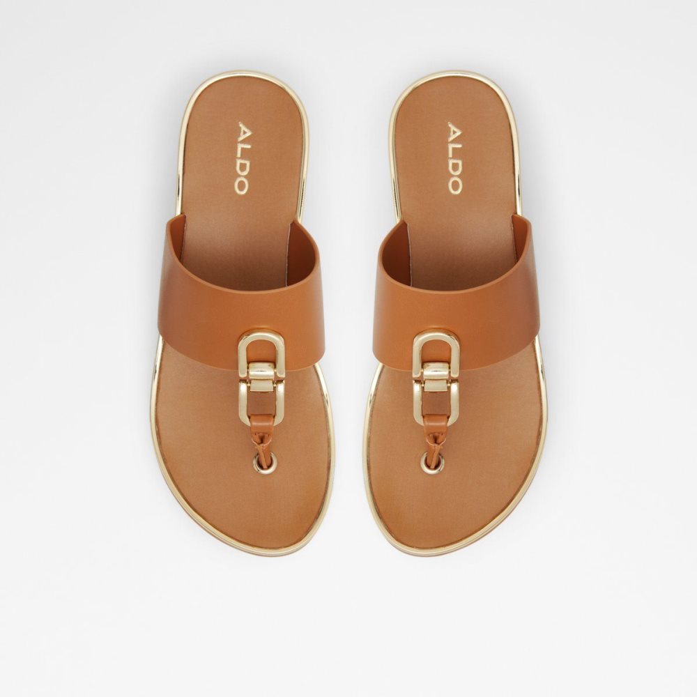 Dámské Sandály Aldo Toea Thong sandal - Wedge heel Hnědé | 79285SGJY