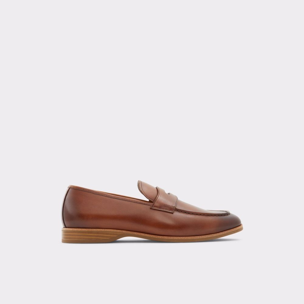 Pánské Mokasíny Aldo Byron Loafer Hnědé | 13768ZYXF