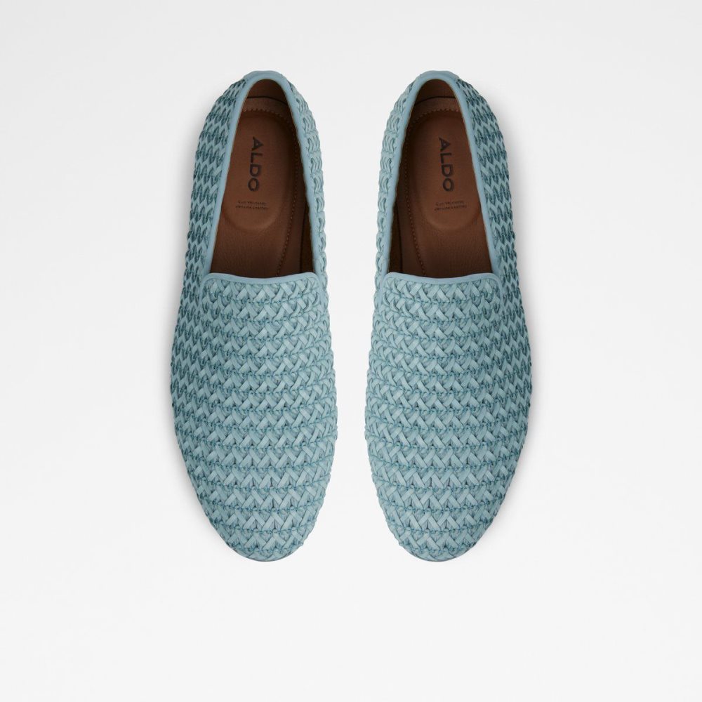 Pánské Mokasíny Aldo Dahlby Loafer Blankyt | 28531RISD