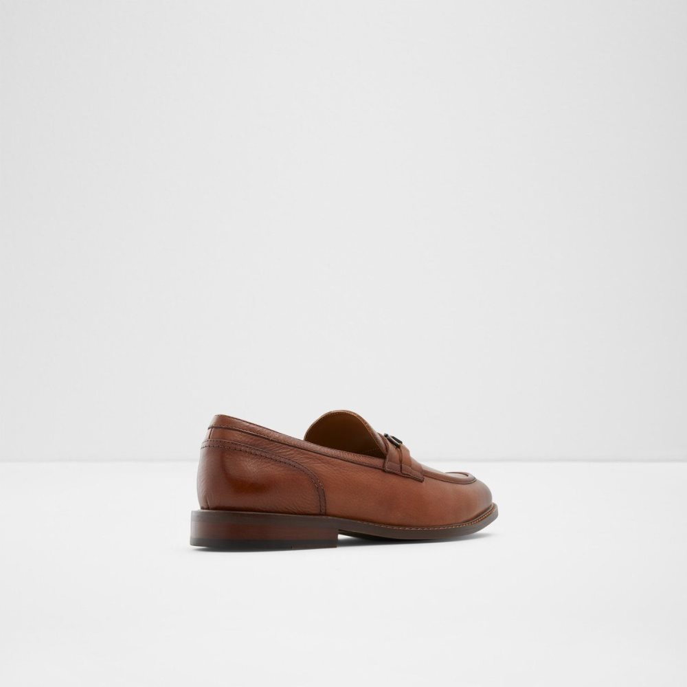 Pánské Mokasíny Aldo Schergerflex Loafer Hnědé | 51036JAYF