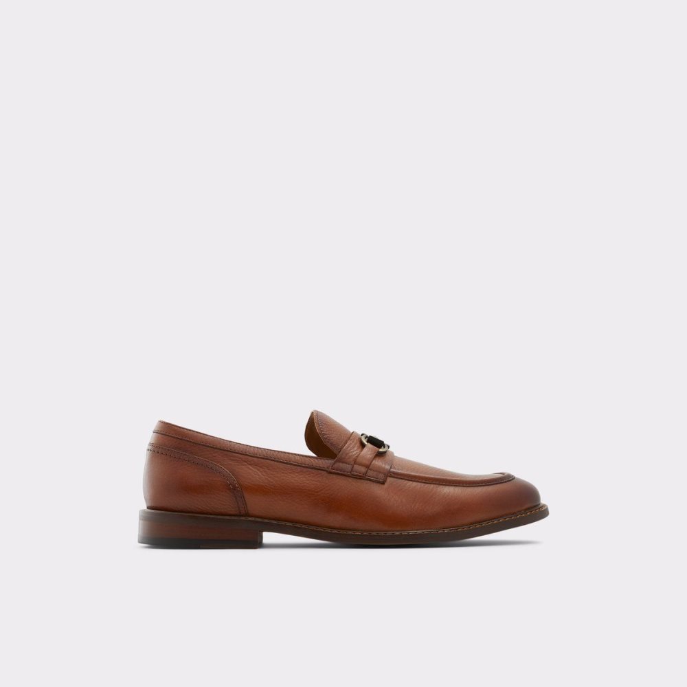 Pánské Mokasíny Aldo Schergerflex Loafer Hnědé | 51036JAYF