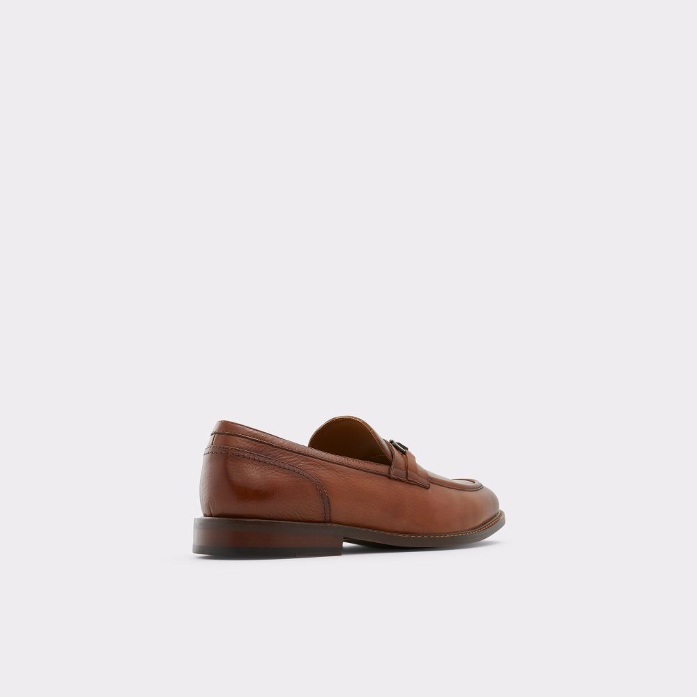 Pánské Mokasíny Aldo Schergerf-w Loafer Hnědé | 64893OHDG