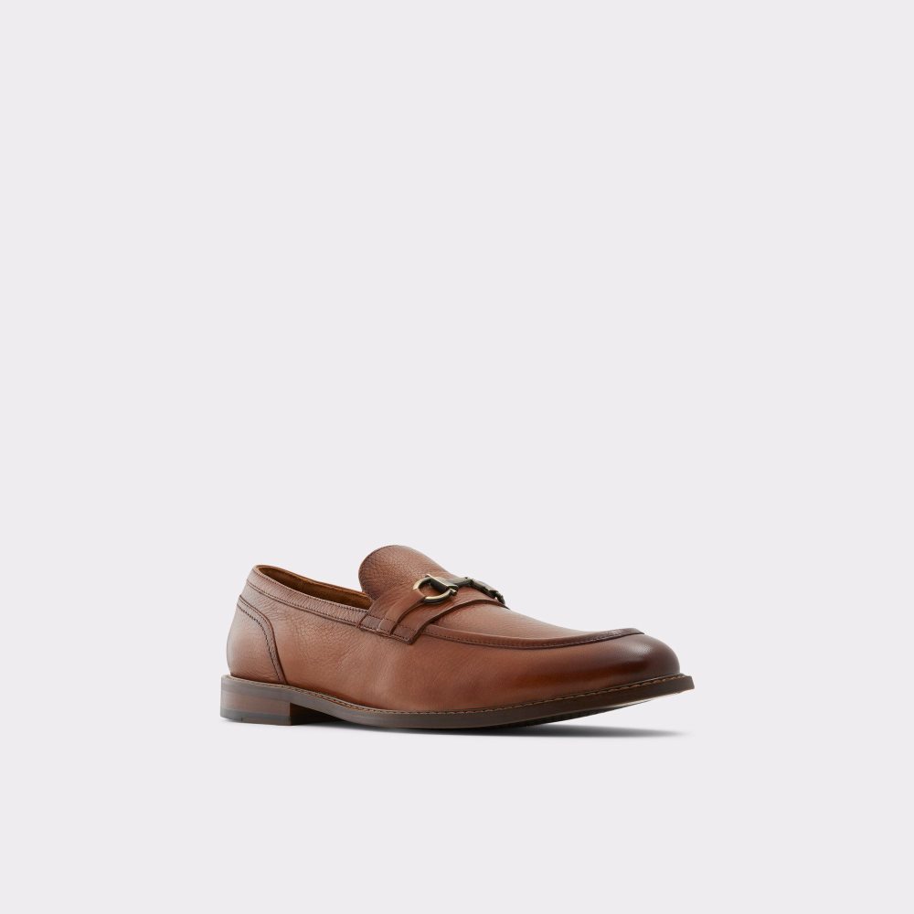 Pánské Mokasíny Aldo Schergerf-w Loafer Hnědé | 64893OHDG