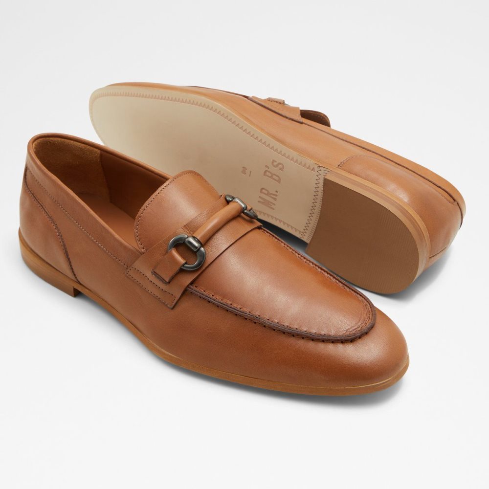 Pánské Mokasíny Aldo Violettes Loafer Hnědé | 31685EAZT