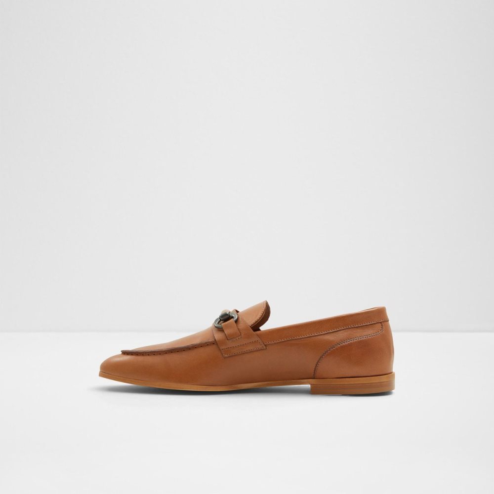 Pánské Mokasíny Aldo Violettes Loafer Hnědé | 31685EAZT